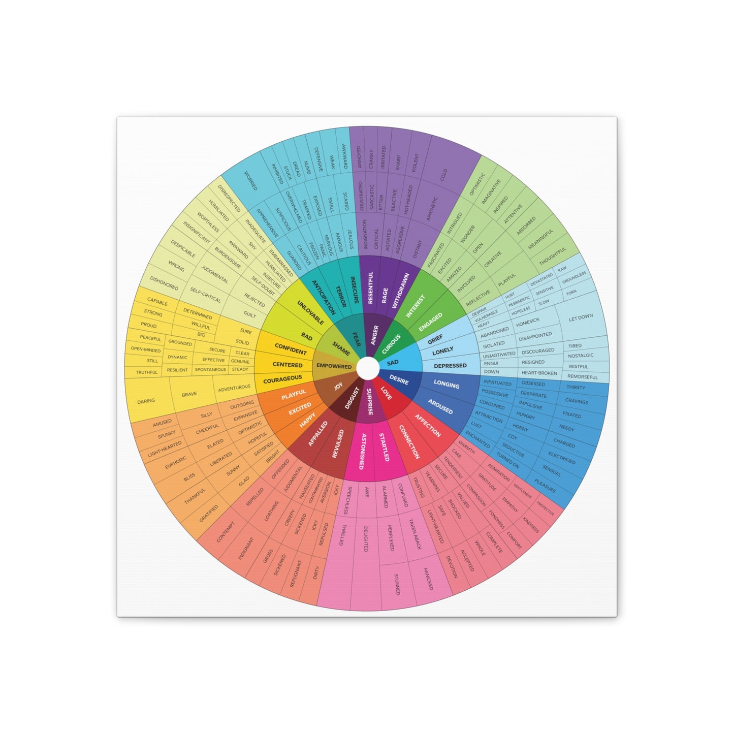 Emotion Wheel Canvas 20x20 inches