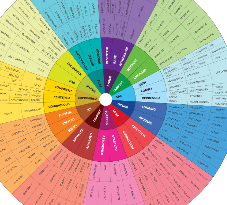 Close-up of the feeling wheel design showing core emotions in the center rings and specific feeling words in the outer rings